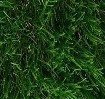 Искусственная трава Тропикана 50мм Тропикана 50мм фото 1 | FLOORDEALER